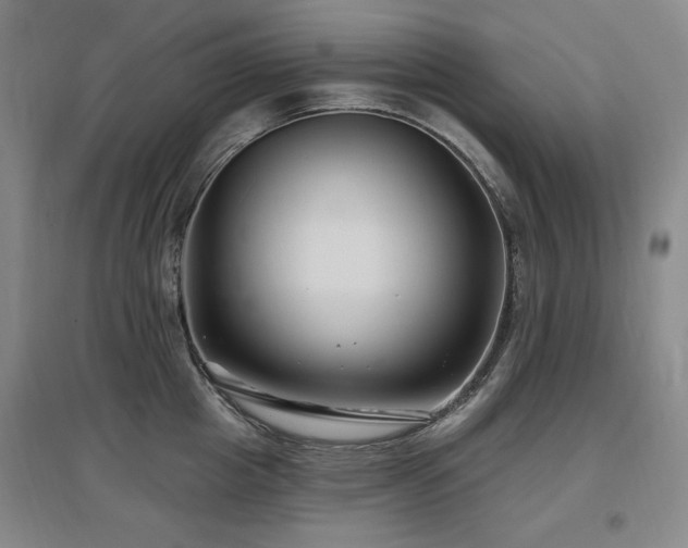 X0000097650857200802291448