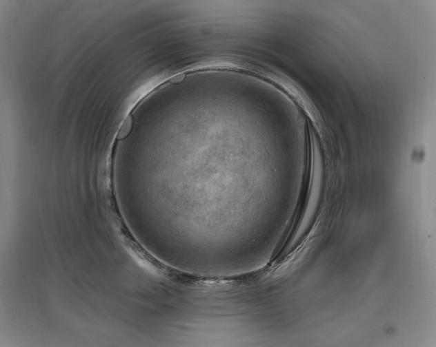 X0000097650858200802291448