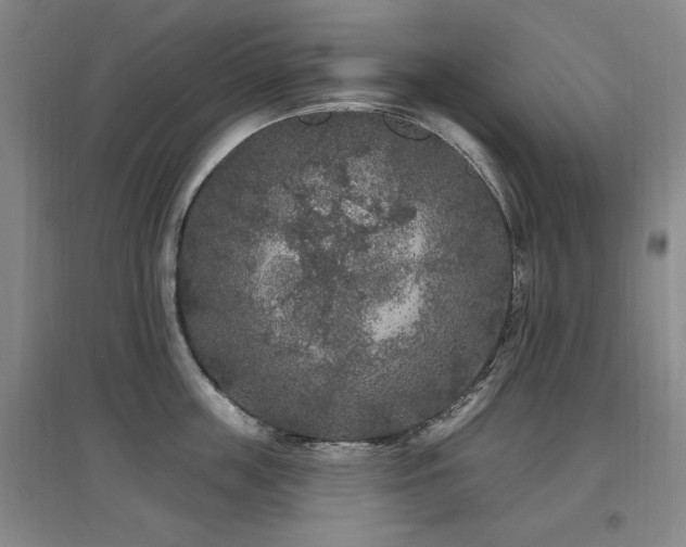 X0000097650859200802291448