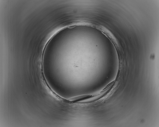 X0000097650860200802291448