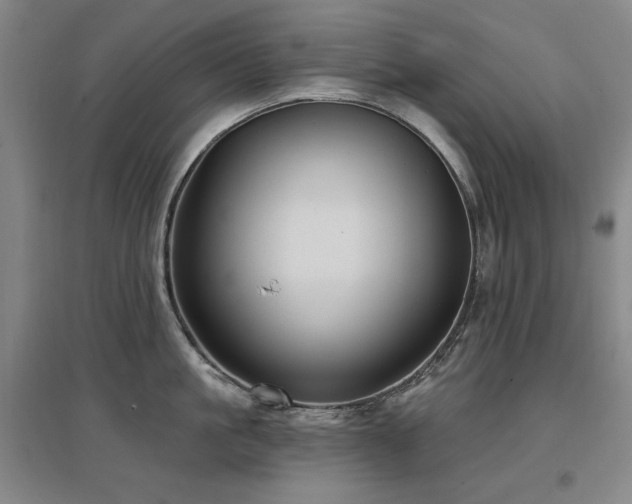 X0000097650861200802291448