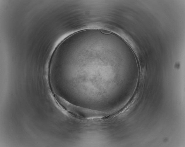 X0000097650862200802291448