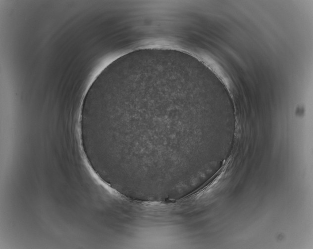 X0000097650863200802291448