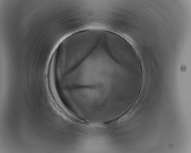 X0000097650864200802291448