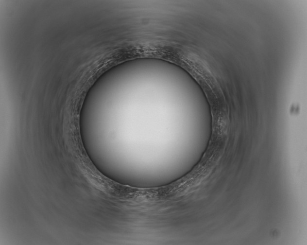 X0000097650865200802291448