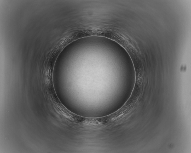 X0000097650866200802291448