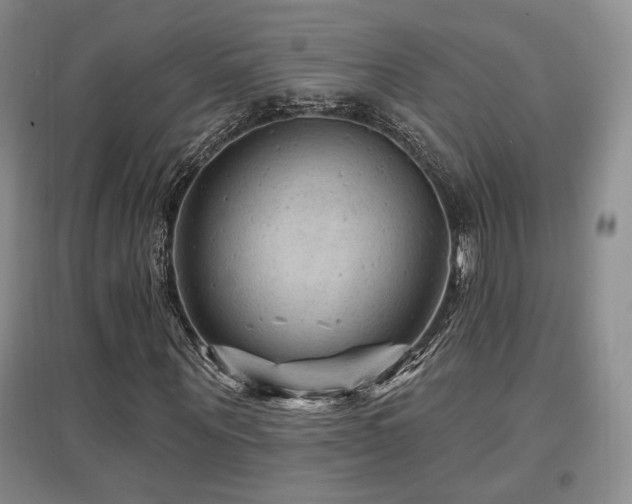 X0000097650867200802291448