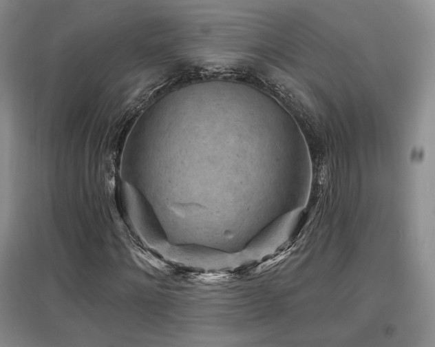 X0000097650868200802291448