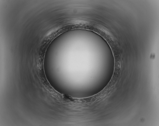 X0000097650869200802291448