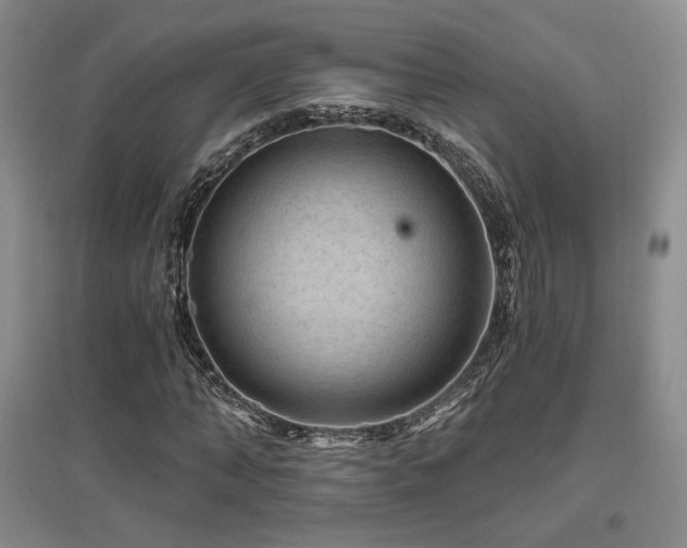 X0000097650870200802291448