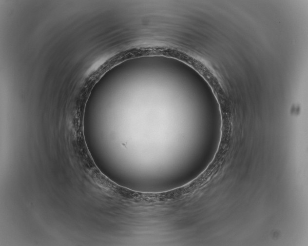 X0000097650871200802291448