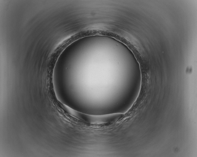 X0000097650872200802291448