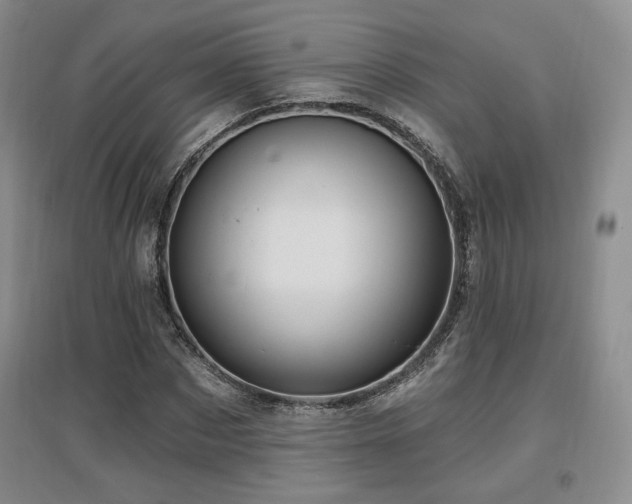 X0000097650873200802291448