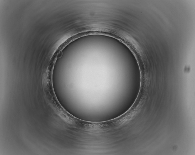 X0000097650875200802291448