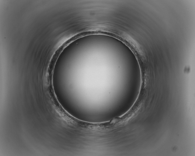 X0000097650876200802291448