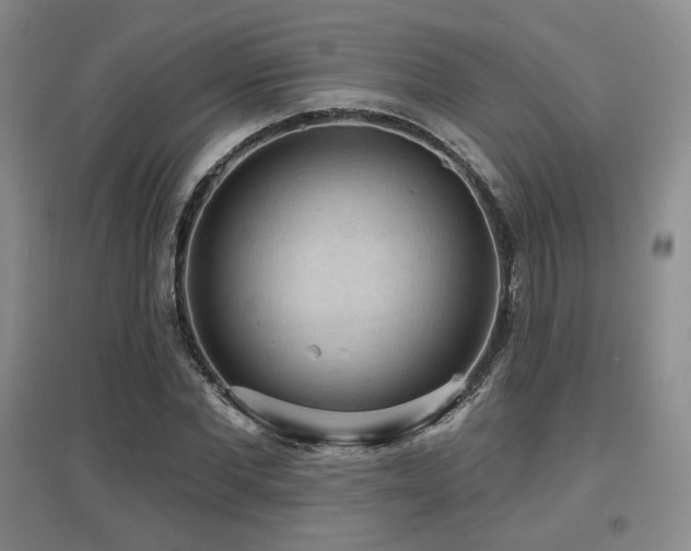 X0000097650877200802291448