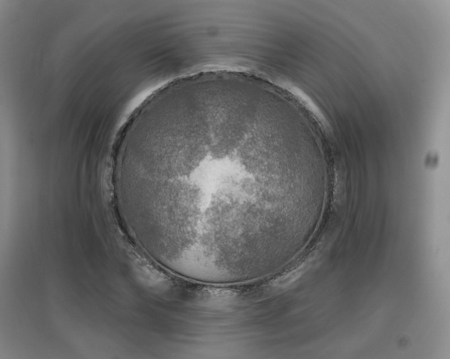 X0000097650878200802291448