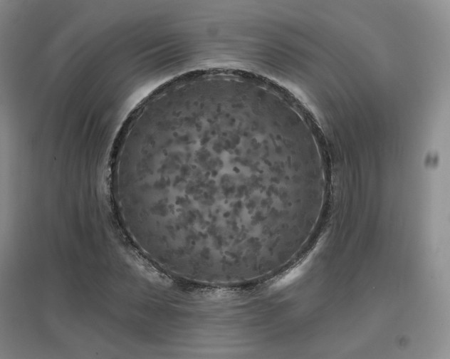 X0000097650879200802291447