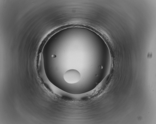 X0000097650880200802291447