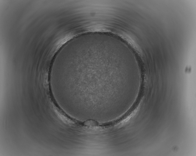 X0000097650881200802291447