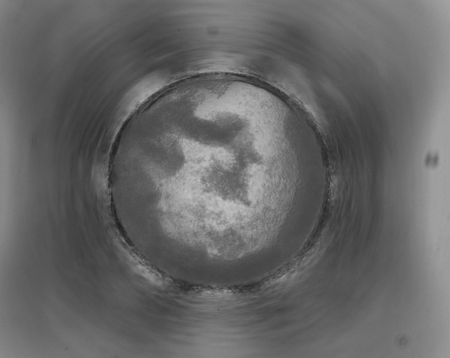 X0000097650882200802291447