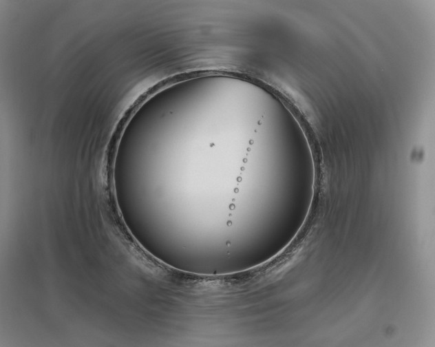 X0000097650883200802291447