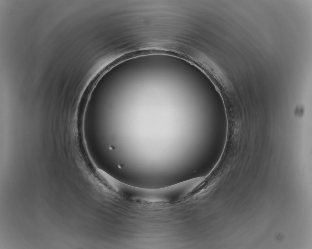 X0000097650884200802291447