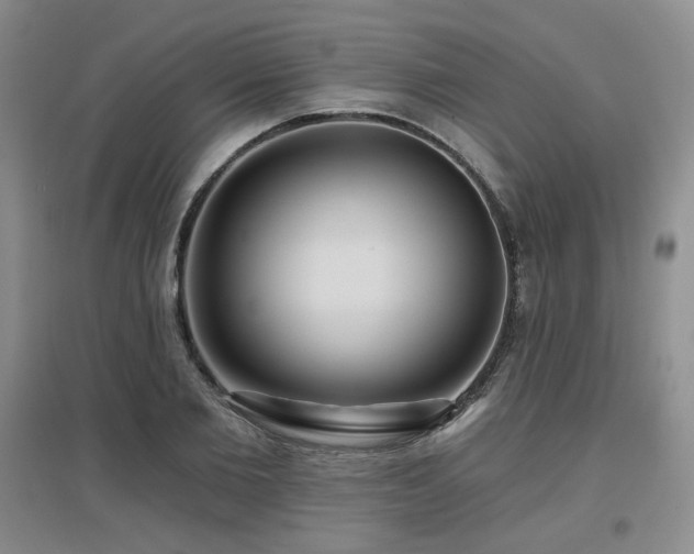 X0000097650885200802291447