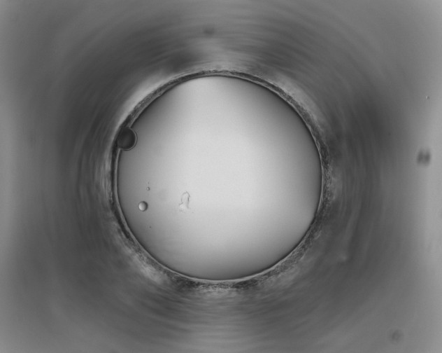 X0000097650886200802291447