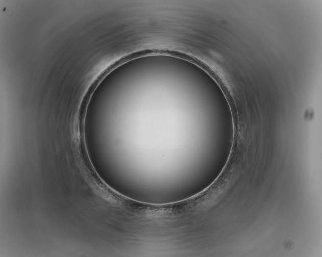 X0000097650887200802291447