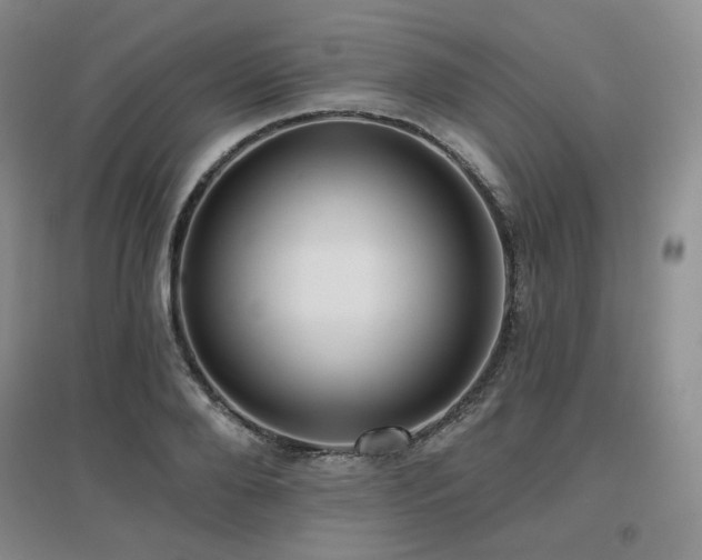 X0000097650888200802291447