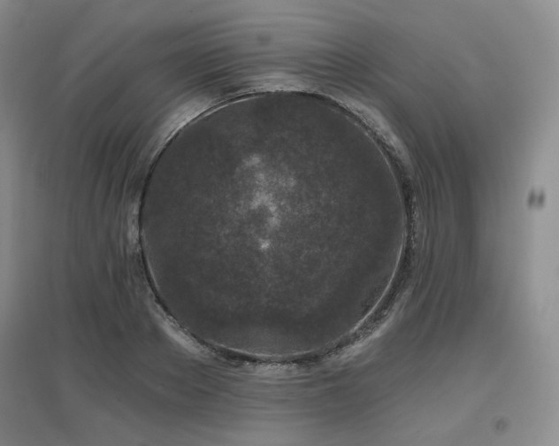 X0000097650889200802291447