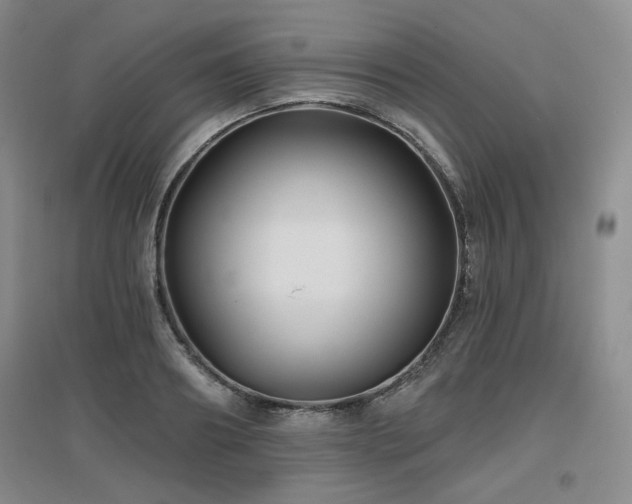 X0000097650890200802291447