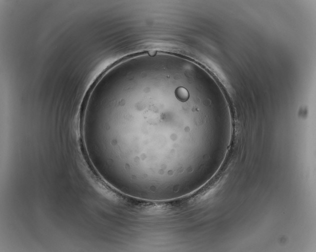 X0000097650891200802291447