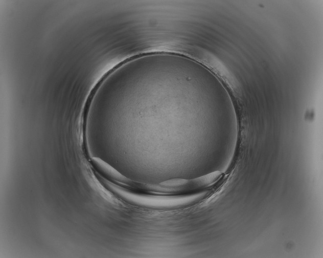 X0000097650892200802291447