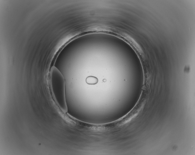 X0000097650893200802291447