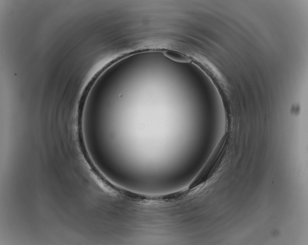 X0000097650894200802291447