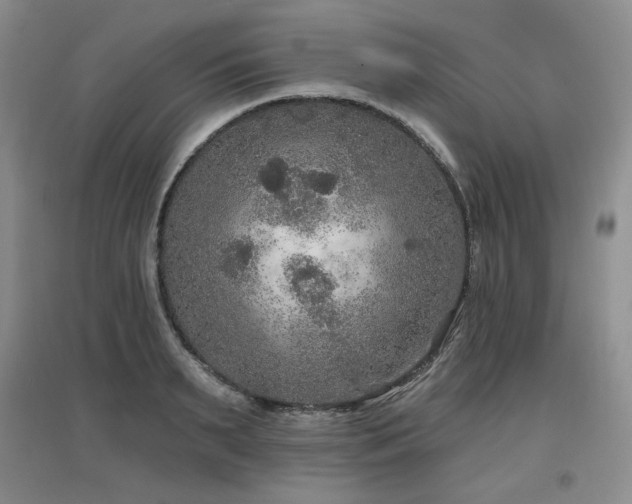 X0000097650895200802291447