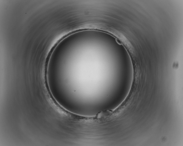 X0000097650896200802291447