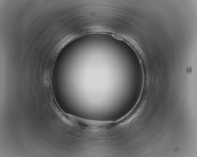 X0000097650897200802291447