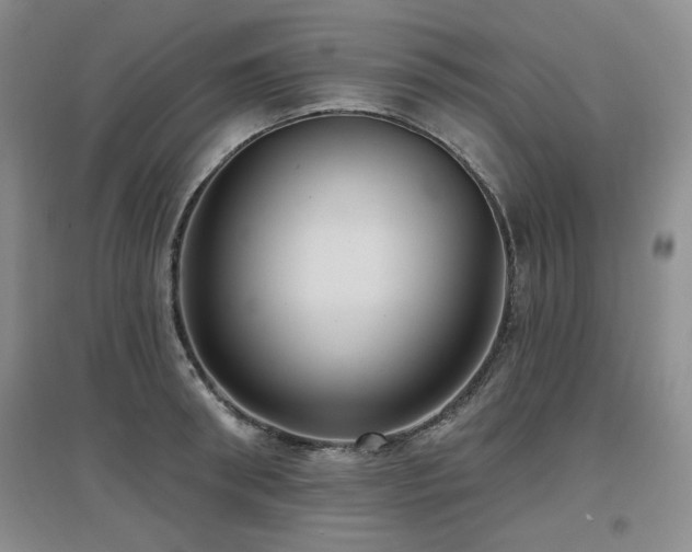 X0000097650898200802291447