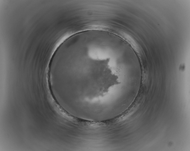 X0000097650899200802291447