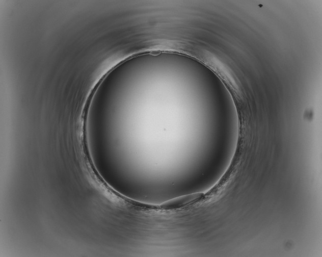 X0000097650900200802291447