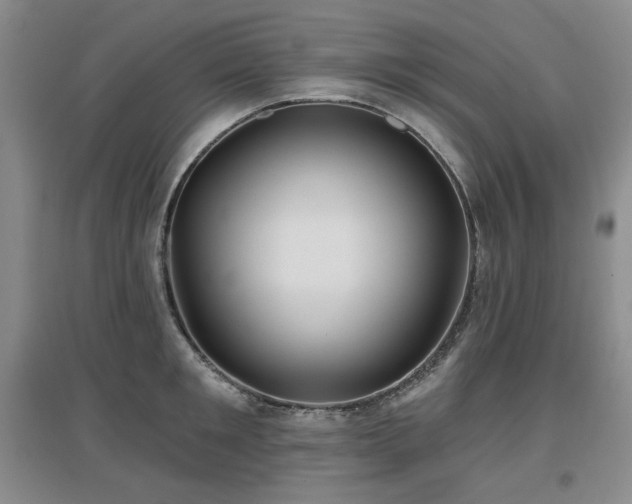 X0000097650901200802291447