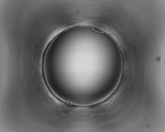 X0000097650902200802291447