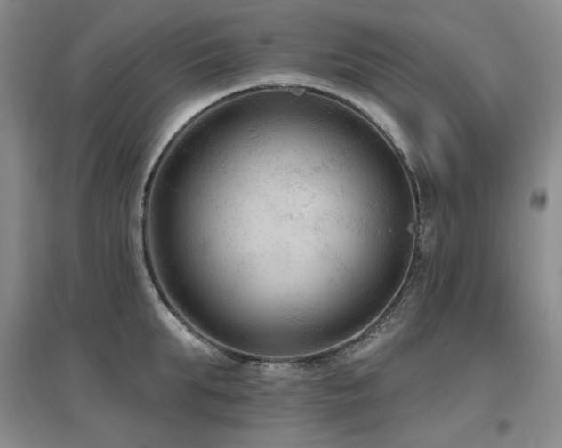 X0000097650903200802291447