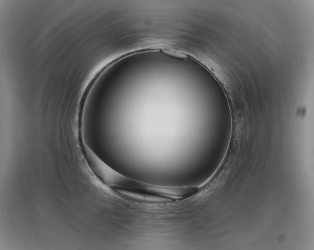 X0000097650904200802291447