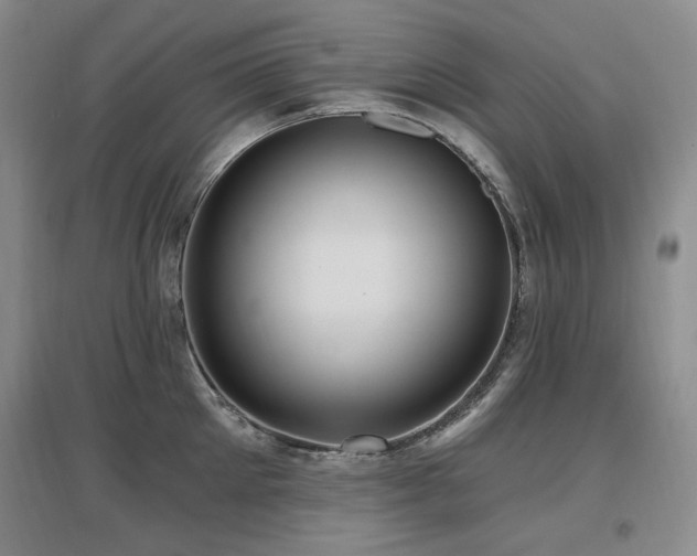 X0000097650905200802291447