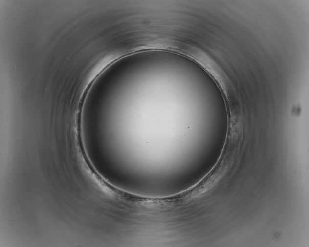 X0000097650906200802291447