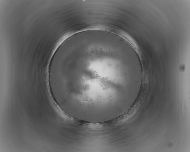 X0000097650907200802291447